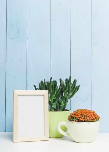 Decorative indoor setup featuring vibrant plants and a...