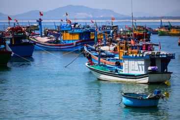 Colorful Vietnamese fishing boats
