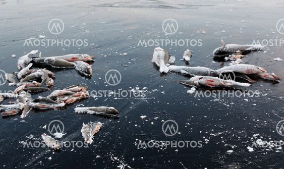 Ice fishing