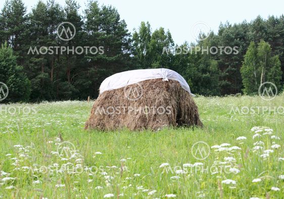 haystack
