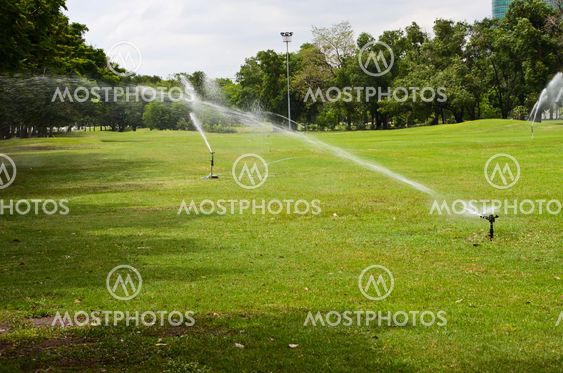 Water Sprinkler Head Spraying New Grass