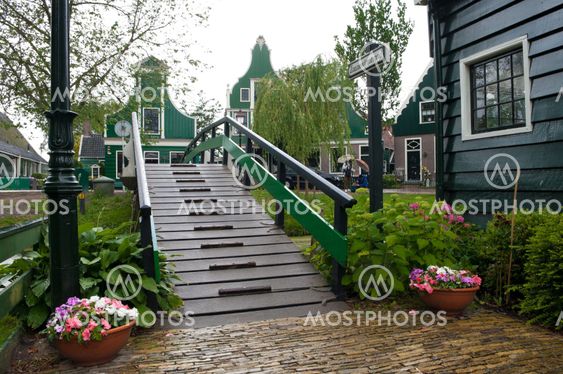 wooden footbridge