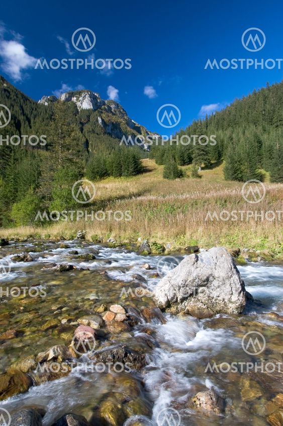 Fall Mountain Stream