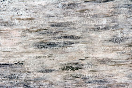 Wood texture