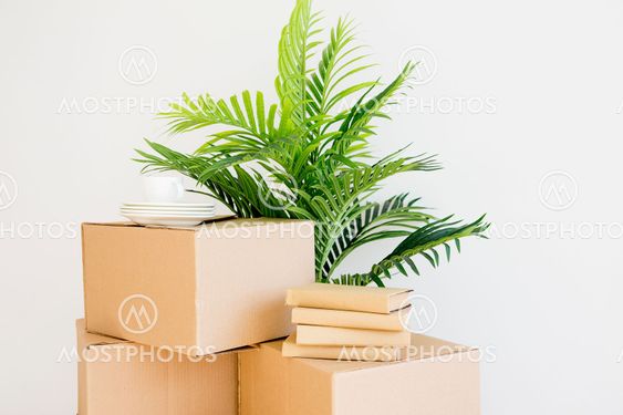 Cardboard boxes - moving to a new house