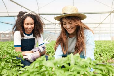 Farming, women and crops growth in greenhouse with...