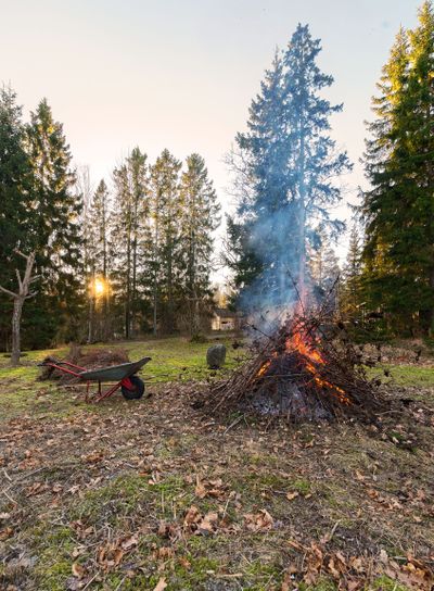 Fire during cleanup of garden with sun setting and an old...
