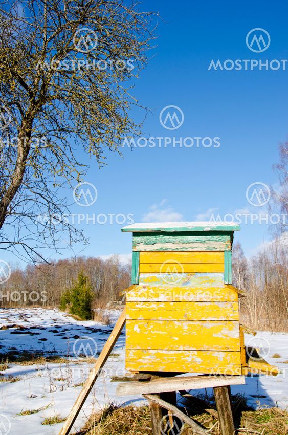 Bee hive home in spring garden melt snow and sky