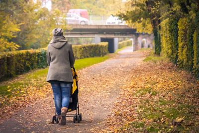 Mother walk stroller back tree lined avenue city park...