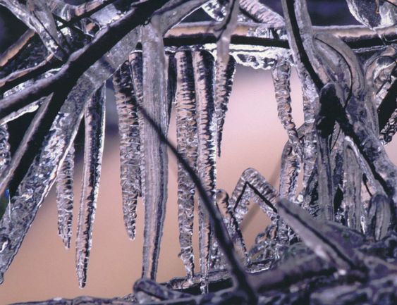 ICE