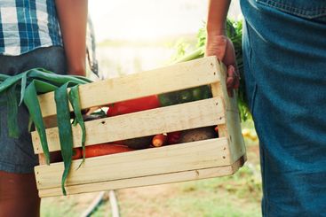 Harvest, teamwork and hands with vegetables, farm or...