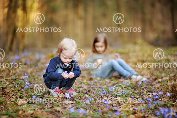 Little sisters picking spring flowers