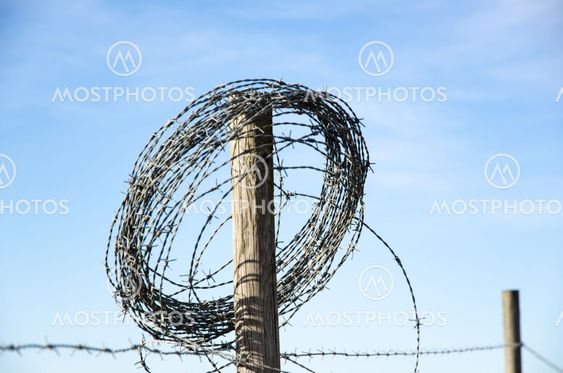 Rural fence and a roll of barb wire