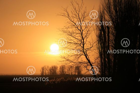 Sunset.