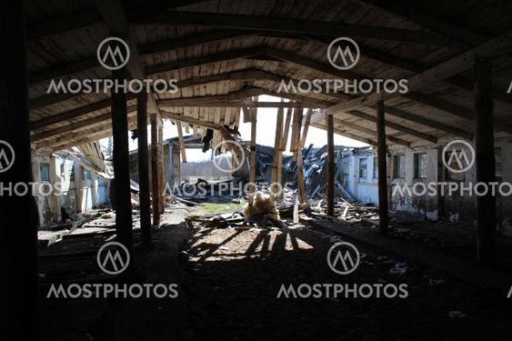 barnyard, abandoned