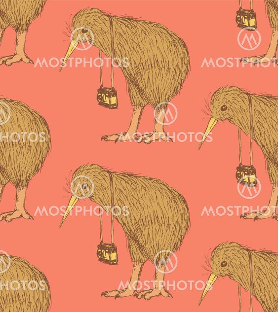 Sketch fancy kiwi bird in vintage style