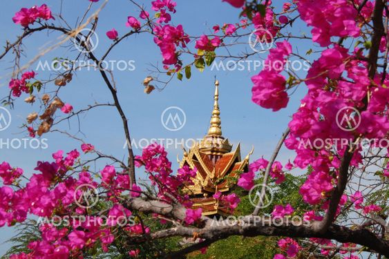 Postcard from the temple