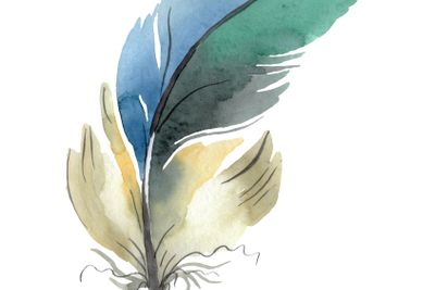 Colorful bird feather from wing isolated. Watercolor...