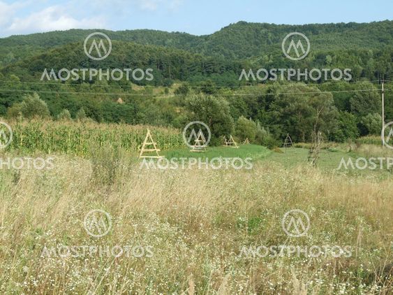 Empty haystacks on a cornflake field at Costesti, Romania