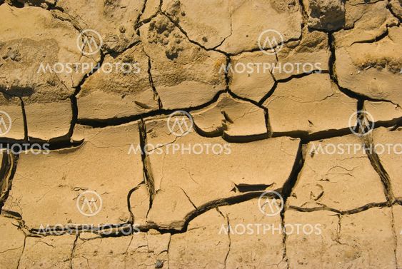 Ausgetrockneter Boden - Dried soil