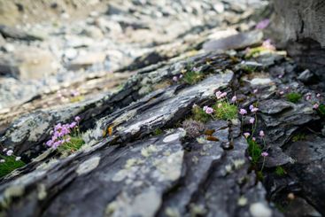Rough rocky shore along famous Ring of Kerry route....
