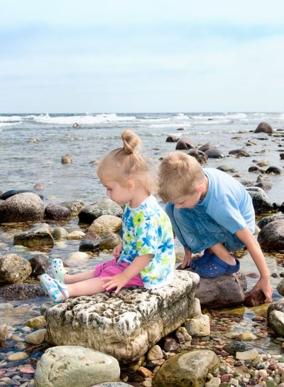 Summer on the island Öland, Sweden