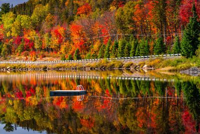 Scenic road in fall forest