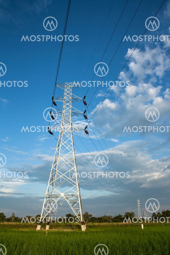 High voltage pylon in paddy