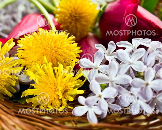 Dandelions, lilac and tulips in a wattled basket
