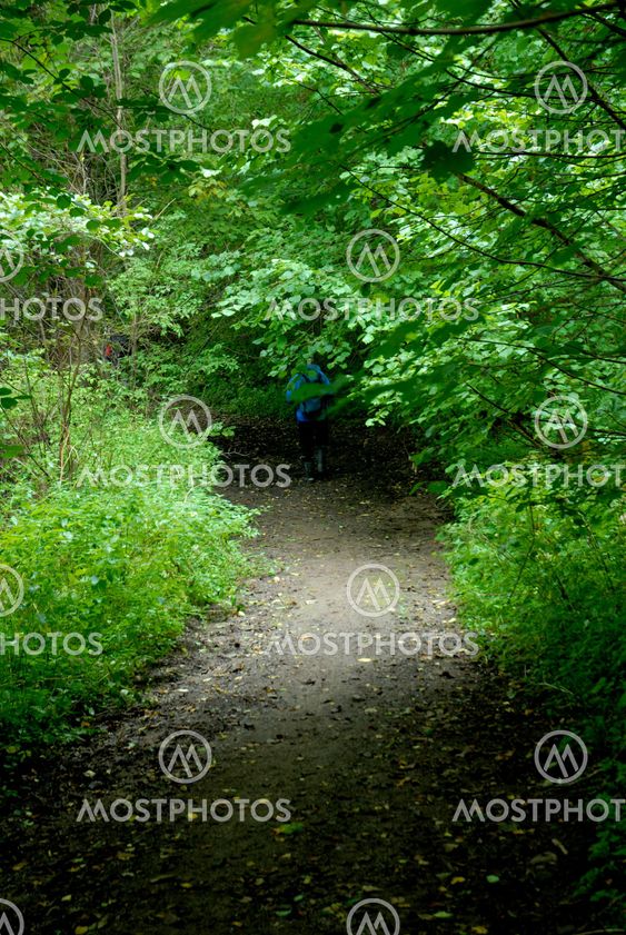 The Trail