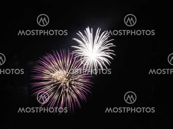 Fireworks - White, Purple and Gold