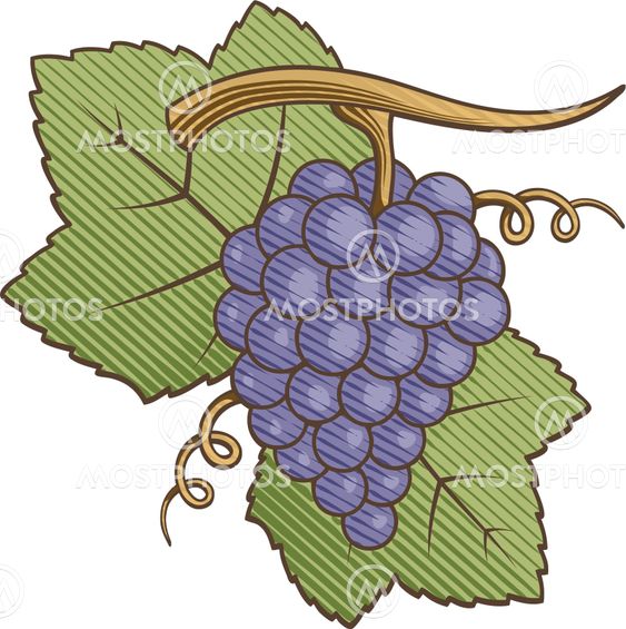 Purple Grapes Woodcut