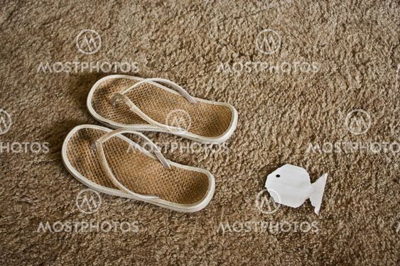 Shoes and Paper Fish