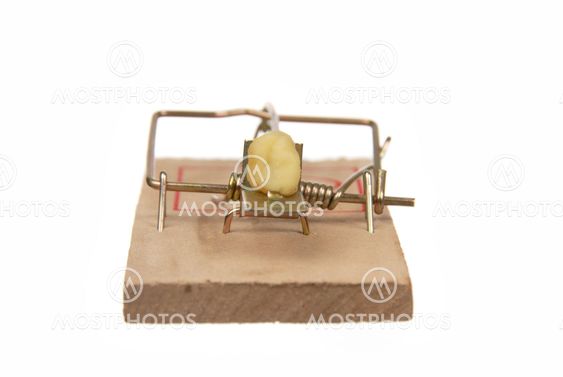Mousetrap # 03