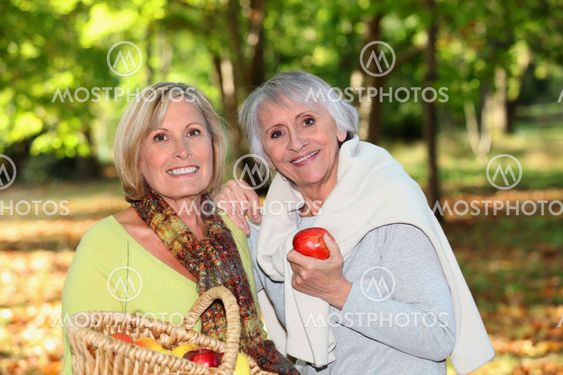 Women gathering apples