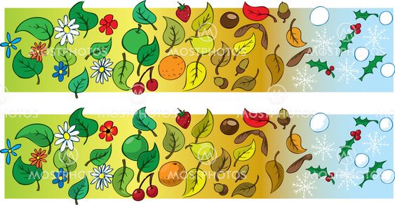 Seasonal Panel