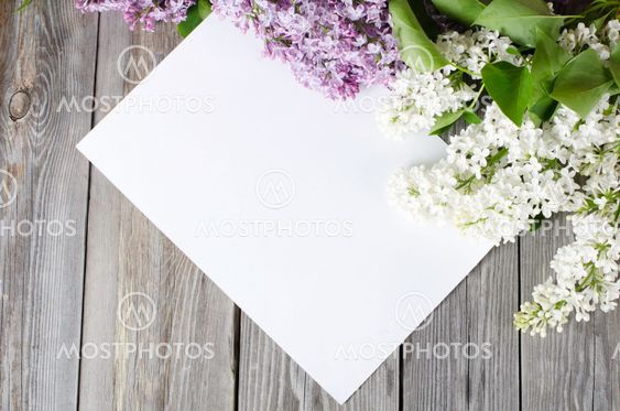 The beautiful lilac on wooden surface