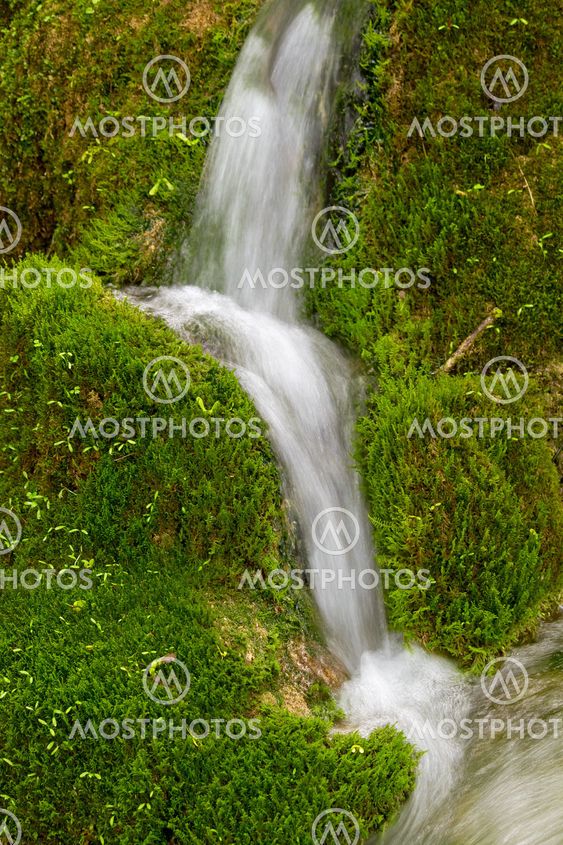 Flowing water and moss.