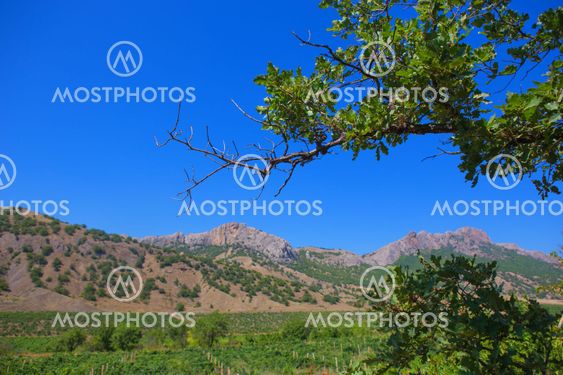 Crimea mountain landscape