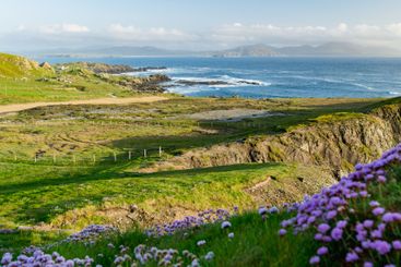 Ineuran Bay coast and cliffs, Malin Head, Ireland's...