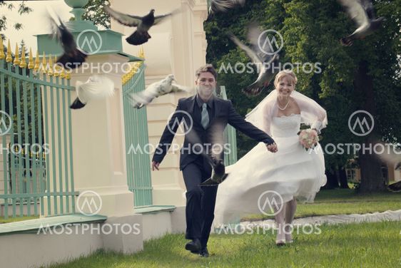 wedding day