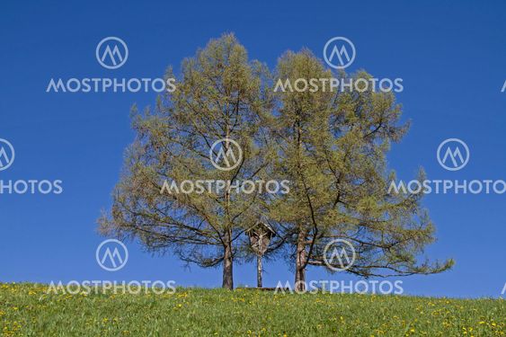 wayside cross in Upper Bavaria