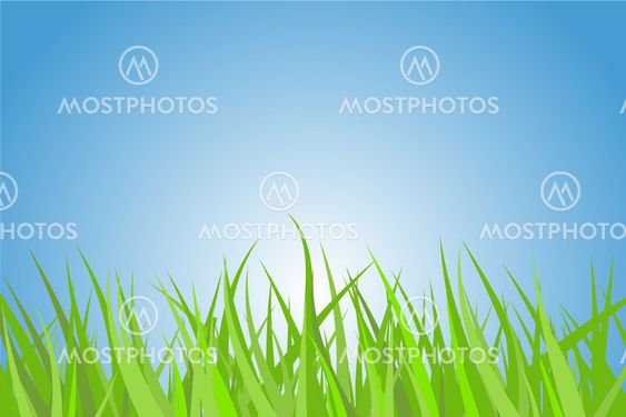 Green grass