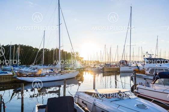 Segelbåten