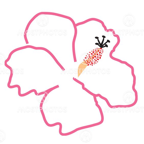 tropical_hibiscus_flower_1