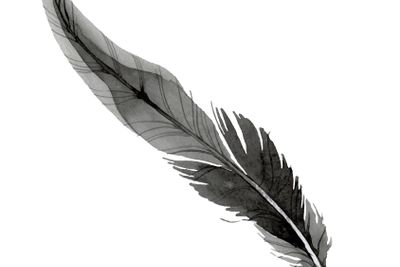 Bird feather from wing isolated. Watercolor background...