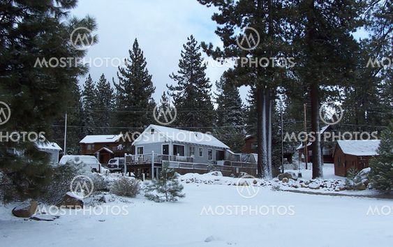 Snow Scene