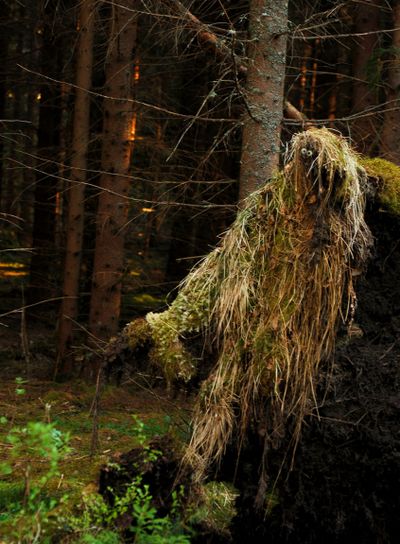 A goblin in the dark forest