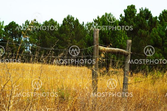Fence