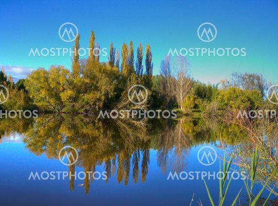 River with tree reflections